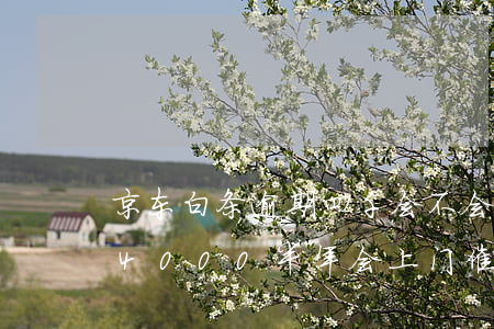 京东白条逾期四千会不会上门(京东白条逾期4000半年,会上门催款吗)