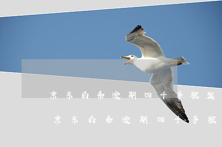 京东白条逾期四千多被发律师函了,怎么办-京东白条逾期四千多被发律师函了,怎么办