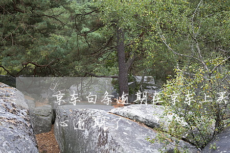 京东白条逾期在京东上买东西(京东白条不小心逾期了)