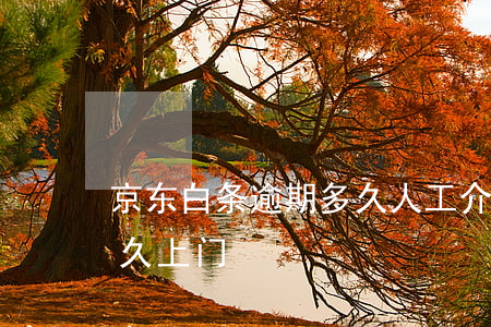 京东白条逾期多久人工介入(京东白条逾期多久上门)