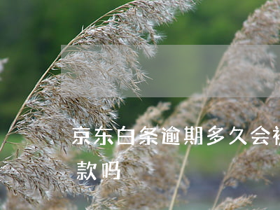 京东白条逾期多久会被催款-京东白条会催款吗