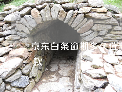 京东白条逾期多久催款（京东白条逾期多久催款）