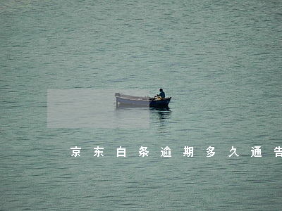 京东白条逾期多久通告(京东白条逾期结果)