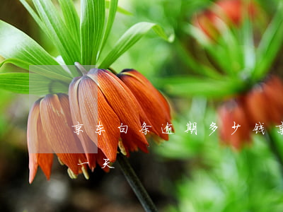 京东白条逾期多少钱（京东白条逾期利息多少一天）