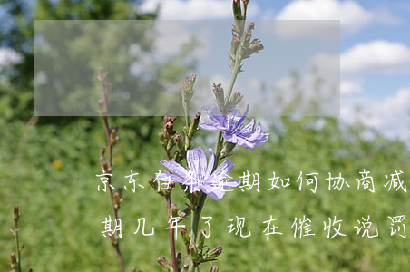 京东白条逾期如何协商减免利息 京东白条逾期几年了现在催收说罚息减免
