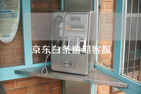京东白条逾期客服