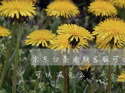 京东白条逾期客服可以减免吗(京东白条逾期可以减免么)