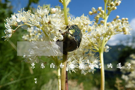 京东白条逾期寄了快递(京东白条不小心逾期了)