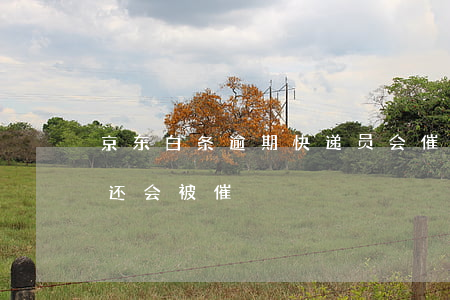 京东白条逾期快递员会催吗(京东白条多久不还会被催)