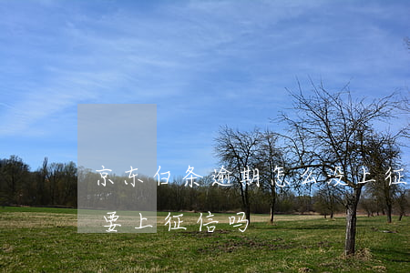 京东白条逾期怎么没上征信 京东白条逾期也要上征信吗