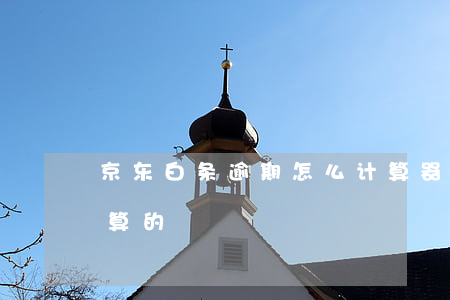 京东白条逾期怎么计算器(京东白条逾期怎么算的)