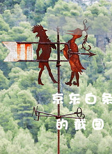 京东白条逾期截图 京东白条逾期500块钱的截图