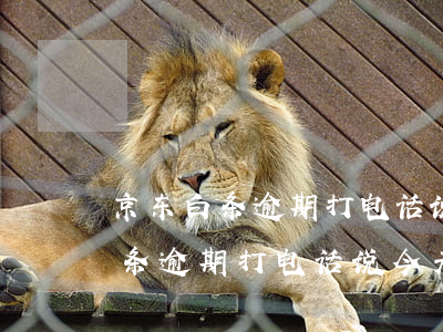 京东白条逾期打电话说今天必须还-京东白条逾期打电话说今天必须还款