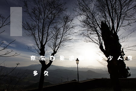 京东白条逾期有多少人(京东白条最多能逾期多久)