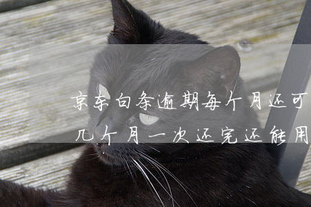 京东白条逾期每个月还可以吗(京东白条逾期几个月一次还完还能用吗)