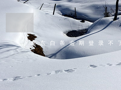 京东白条逾期登录不了(京东白条逾期咋办)