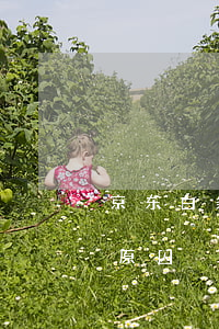 京东白条逾期白条被冻结 京东白条被冻结的原因