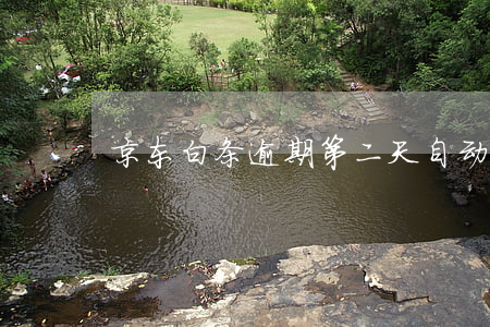 京东白条逾期第二天自动扣款吗-