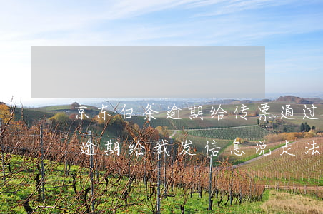 京东白条逾期给传票通过什么给-京东白条逾期给我发信息说走法律程序