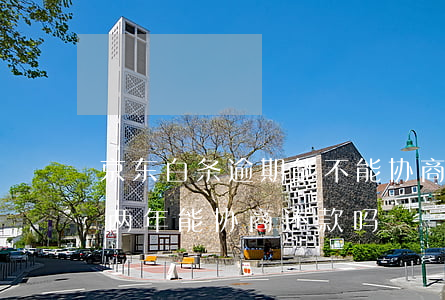 京东白条逾期能不能协商还款(京东白条逾期两年能协商还款吗)