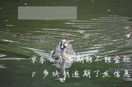 京东白条逾期能不能坐动车(京东白条欠500多块钱逾期了发信息说限制我坐飞机火车)