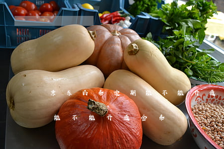 京东白条逾期能不能开通金条(京东白条逾期能不能开通金条)
