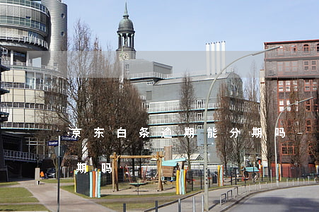 京东白条逾期能分期吗-京东白条逾期能分期吗