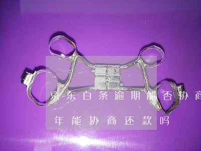 京东白条逾期能否协商还款 京东白条逾期两年能协商还款吗