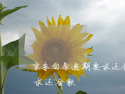 京东白条逾期要求还全款-京东白条逾期要求还全款