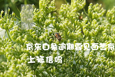 京东白条逾期要见面签(京东白条违约十天会上征信吗)