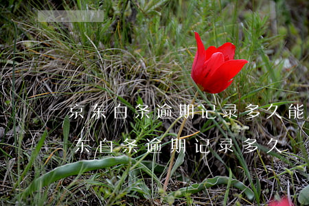 京东白条逾期记录多久能在征信系统消除（京东白条逾期记录多久）