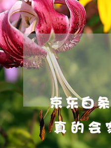 京东白条逾期说会家访会去不(京东白条逾期真的会家庭走访吗?)
