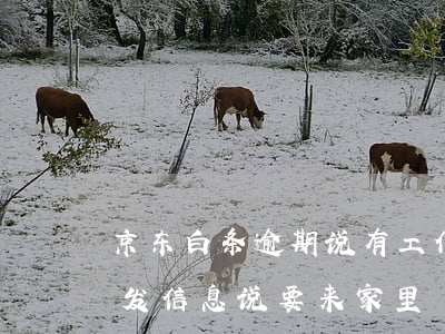 京东白条逾期说有工作人员来(京东白条逾期发信息说要来家里)