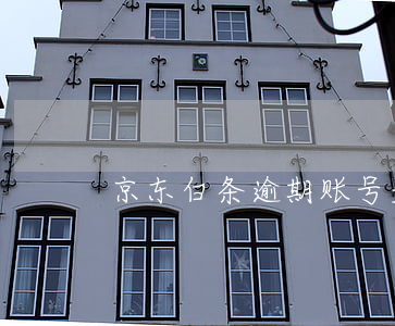 京东白条逾期账号是空号(京东白条有账号吗)