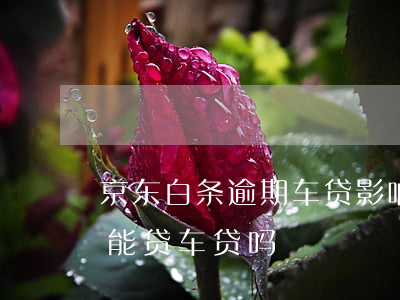京东白条逾期车贷影响吗(京东白条一次逾期能贷车贷吗)
