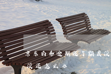 京东白条逾期还了额度没了-京东白条逾期没还怎么办