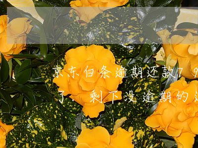 京东白条逾期还款79天(京东白条逾期的还了.剩下没逾期的还要还)