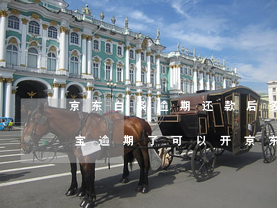 京东白条逾期还款后多久可以再次开通（支付宝逾期了可以开京东白条吗）