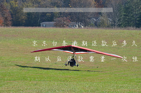 京东白条逾期还款后多久才能还 京东白条逾期以后还款需要一次性还清吗