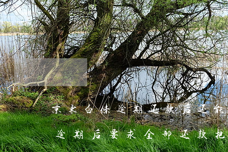 京东白条逾期还款后还能提现吗-京东白条逾期后要求全部还款,把当前逾期还了可以么