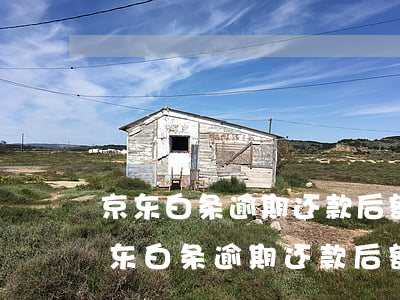 京东白条逾期还款后额度什么时候恢复-京东白条逾期还款后额度什么时候恢复正常
