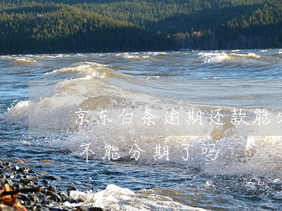 京东白条逾期还款能分期吗 京东白条逾期就不能分期了吗