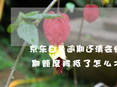 京东白条逾期还清会恢复额度吗 京东白条逾期额度降低了怎么才能恢复