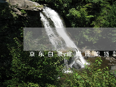 京东白条逾期还能贷款买车吗