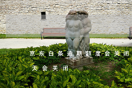 京东白条逾期额度会关闭吗 京东白条逾期几天会关闭