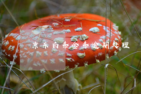 京东白条金条逾期处理