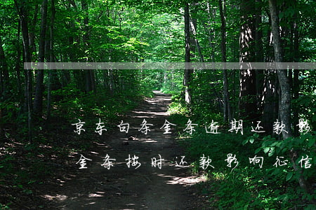 京东白条金条逾期还款影响征信-京东白条金条按时还款影响征信么