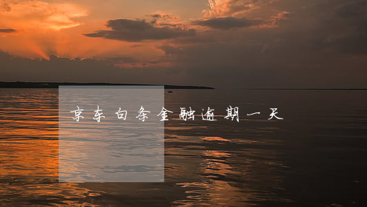 京东白条金融逾期一天