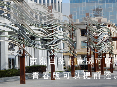 京东白条青春版可以提前还款吗-京东白条青春版可以提前还款吗安全吗