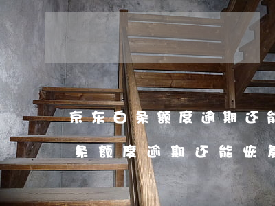 京东白条额度逾期还能恢复使用吗-京东白条额度逾期还能恢复使用吗安全吗